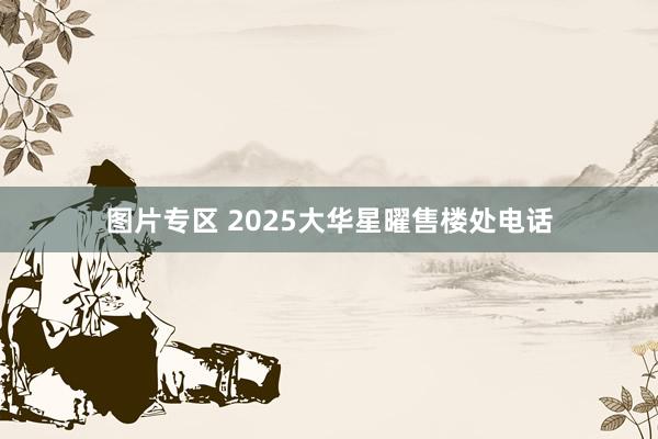 图片专区 2025大华星曜售楼处电话